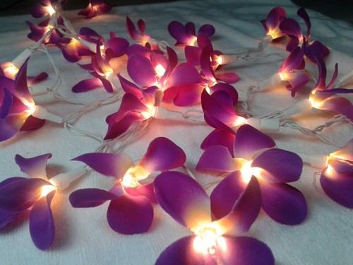 Florals in Lahore by Asian Events